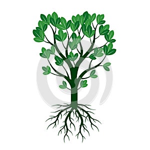 Green Spring Tree and Roots. Vector Illustration.