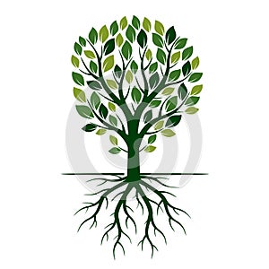 Green Spring Tree and Roots. Vector Illustration.