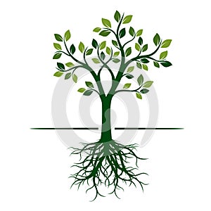 Green Spring Tree with Roots. Vector Illustration.