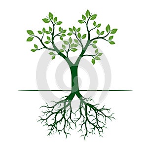 Green Spring Tree. Vector Illustration.