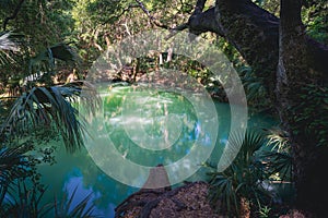 Green Springs in tropical Deltona, Florida photo