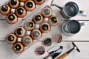 Green sprout growing out from soil in eggshells on table in the garden photo