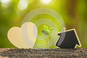 Green sprout growing in soil and wooden heart and house symbol on outdoor sunlight and green blur background. Love tree, Save