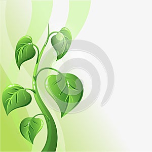 Green sprout with leaves and copyspace for your