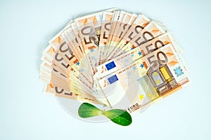 Green sprout, a lot of European currency