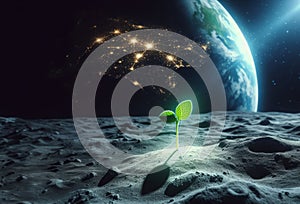 Green sprout on the lunar surface, the birth of a new life. Space exploration colonization