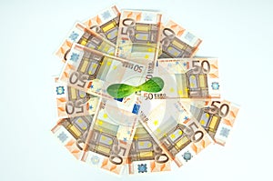 Green sprout in the middle of many European currencies