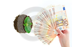 Green sprout with money european