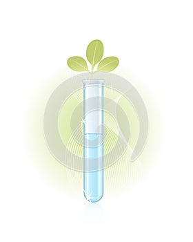 Green sprout in a test tube