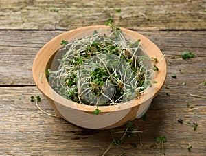 Green sprouts of chia, arugula and mustard on a table from gray wooden boards