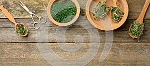 Green sprouts of chia, arugula and mustard in a wooden spoon on a background from old gray boards, top view