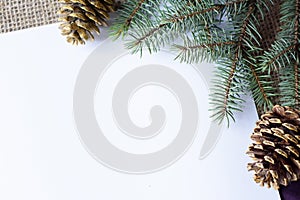 Green spruce branch and cones on a white background. Letter with copy space. Christmas and New Year concept