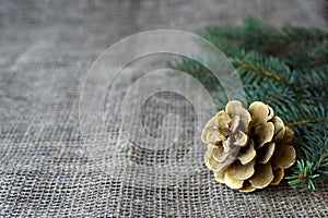 Green spruce branch and golden cone on a gray mat. Burlap with copy space. Christmas and new year concept