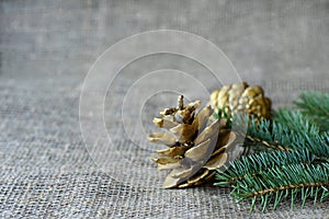Green spruce branch and golden cone on a gray mat. Burlap with copy space. Christmas and new year concept