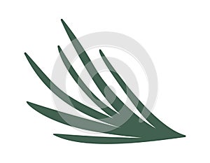 Green spruce needles Christmas element