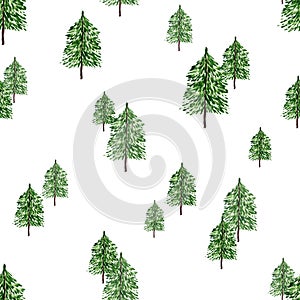 Green spruce. Seamless pattern. Watercolor illustration. Nature. Ecology. Christmas. New Year.