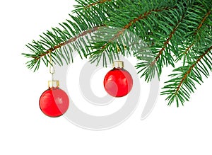 Green spruce tree and red shiny baubles. Merry Christmas and Happy New Year. Isolated branch and two holiday toys