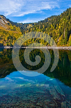 Green spruce trees and deciduous trees are reflected in the clear water of a mountain lake. Autumn