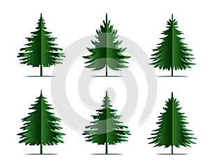 Green Spruce Trees. Winter season design elements and simply pictogram. Isolated vector Christmas Tree Icons and Illustration