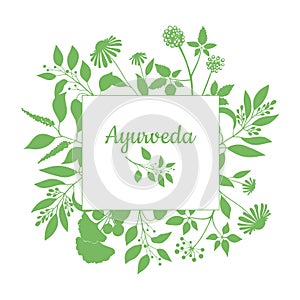 Green square frame with collection of ayurveda plants. Silhouette of branches on white background