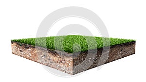 Green Square Grass Land Piece