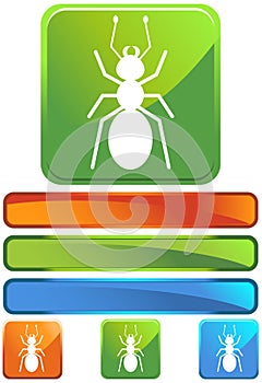 Green Square Icon - Ant