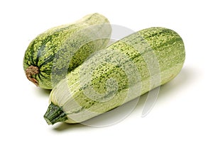 Green squash zucchini