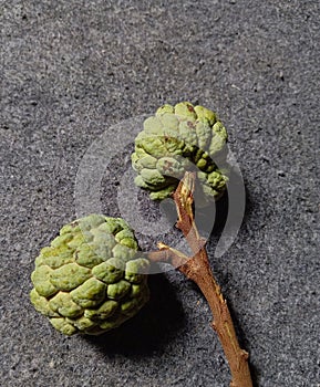 green srikaya fruit on a gray background