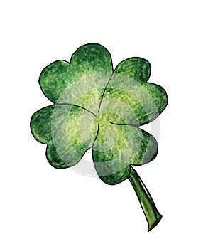 Green St. Patrick`s Day clover on white background watercolor pencils drawing isolated