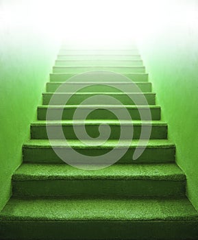 Green Stairs, indoor grass carpet step