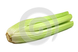 Green stalks of celery against