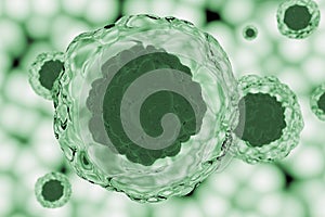 Green Stem Cells 