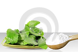 Green Stevia and extract powder in wooden spoon on white background