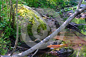 Green stones, moss and river