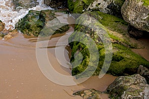 The green stones in the sand and white waves