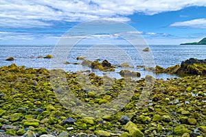 Green stones on Sao Miguel island, Azores, Portugal