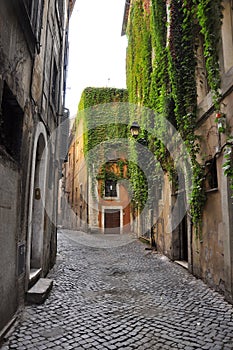 Green streets of ancient Rome photo