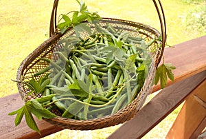 Green string bean in a wattled basket