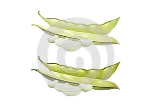 Green string beans, set of two, gradient illustration.