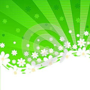 green striped background with daisies