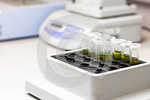 Green substance in microtube is put in thermo shaker. DNA experiment in biochemical laboratory.