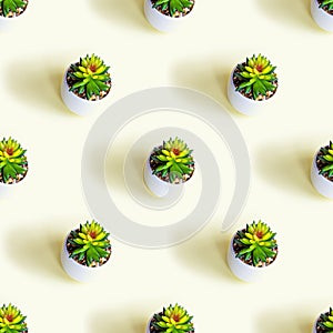 Green succulent flower plant in the pot repeat seamless pattern on light yellow background.