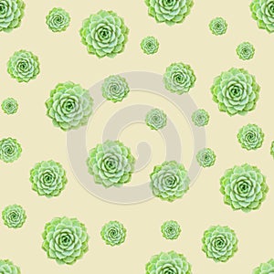 Green Succulent Plant Pattern Light Yellow Background