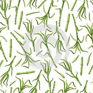Green sugar cane on a white background seamless pattern. Vector background.