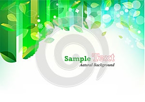 Green summer backgrounds s