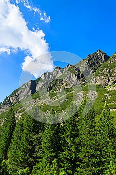 Zelená letná krajina Vysokých Tatier, Slovensko