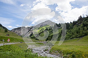 Green summer landscape