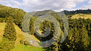 Green summer landscape in rural Romania