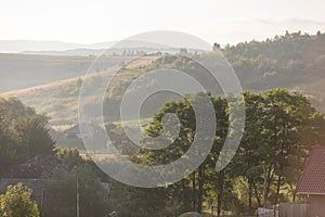 Green summer landscape in rural Romania