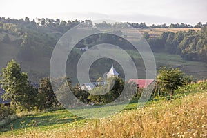 Green summer landscape in rural Romania